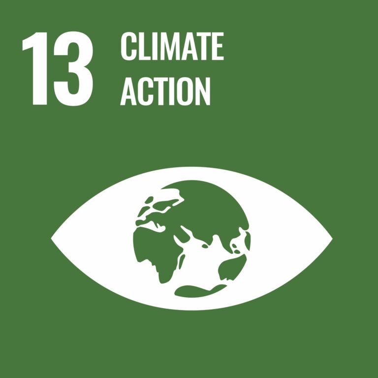 SDG goal 13 climate change logo. Green background with white eye-shaped graphic containing an Earth illustration. White text on the left reads "13 CLIMATE ACTION," highlighting the Sustainable Development Goals.