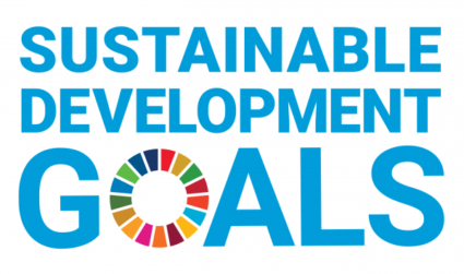 Text: "Sustainable Development Goals" in blue text with a multicolored circular icon representing the 17 global goals. For more details, refer to the united nations sustainable development goals FAQ.