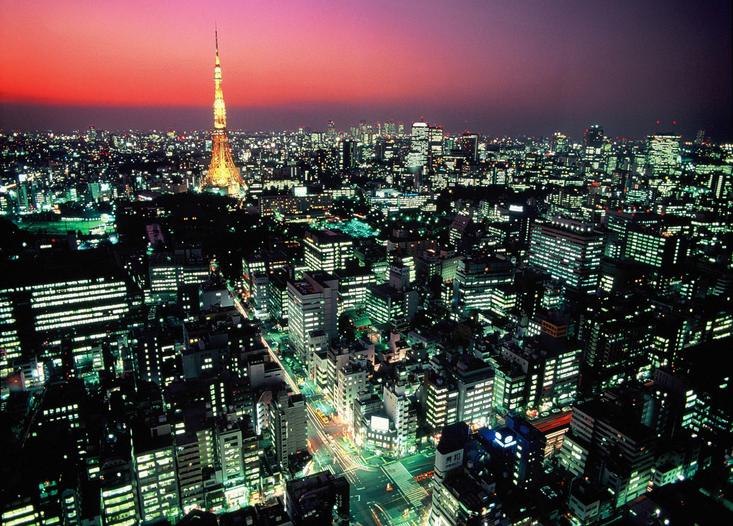 View of the Tokyo skyline by night