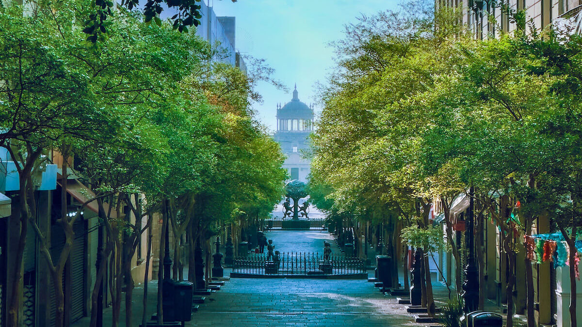 A cobblestone street lined with trees leads to a domed building in the distance on a clear day.