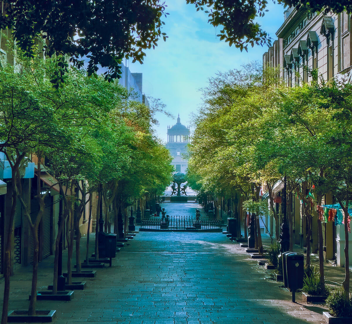 A cobblestone street lined with trees leads to a domed building in the distance on a clear day.